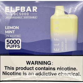 ELFBAR LEMON MINT BC 5000/DP